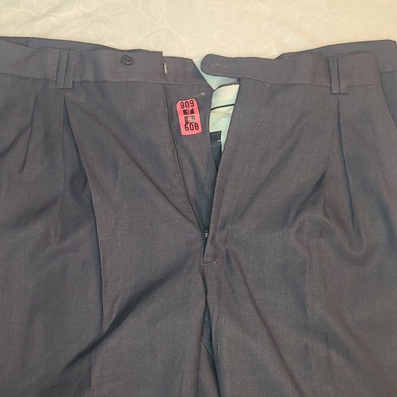 Nice gray plants - Picture 3 of 4